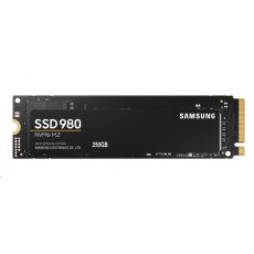 SSD disk Samsung 980-250 GB