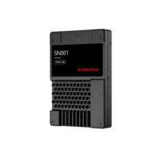 SanDisk Carrera Syndicate SSD 12.8TB DC, SN861, PCIe Gen5, (R:13700, W:8400MB/s), BICS6 TLC NVMe U.2, ISE,Generic